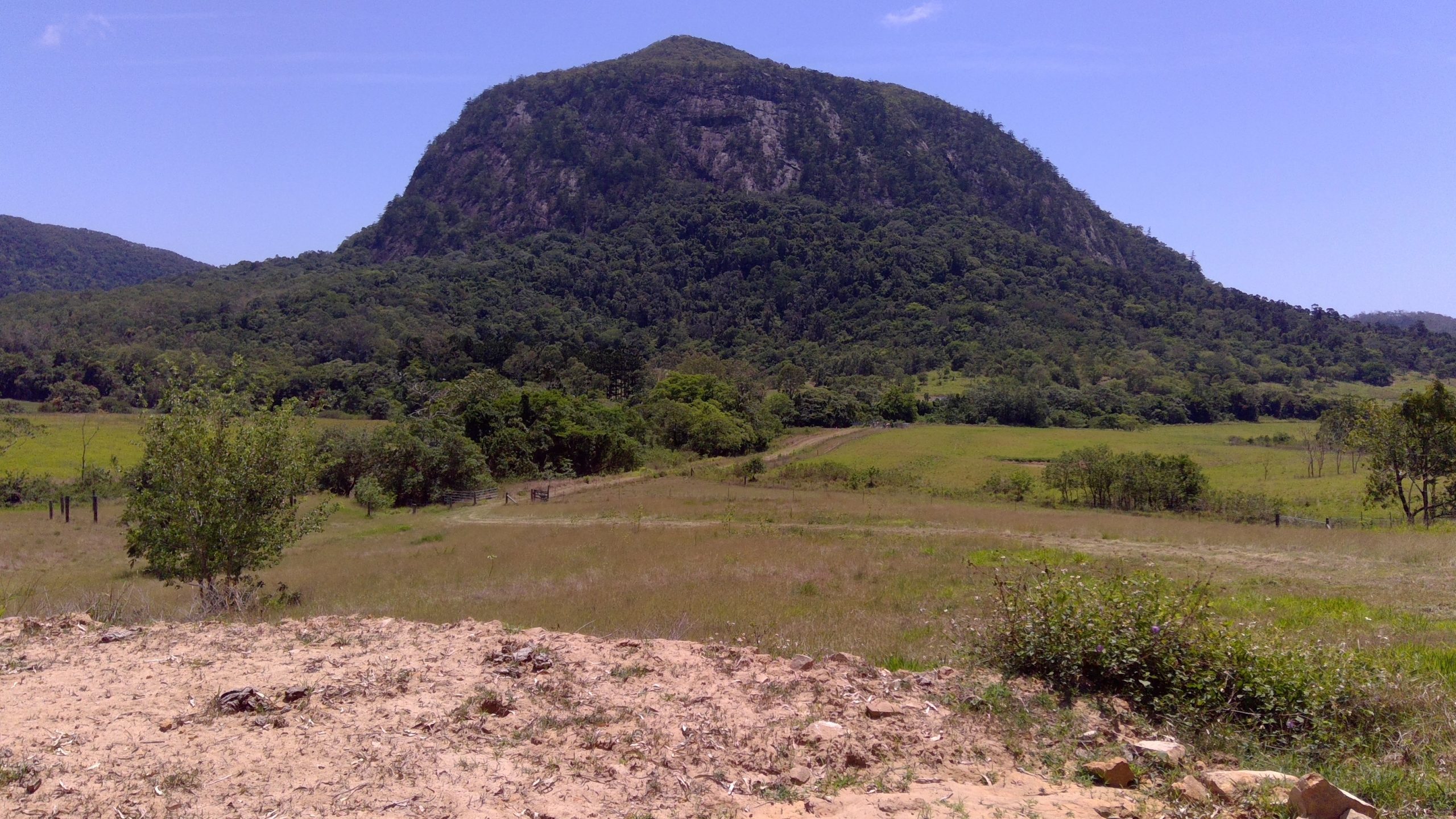 108 ACRES MT JUKES Blacks Real Estate