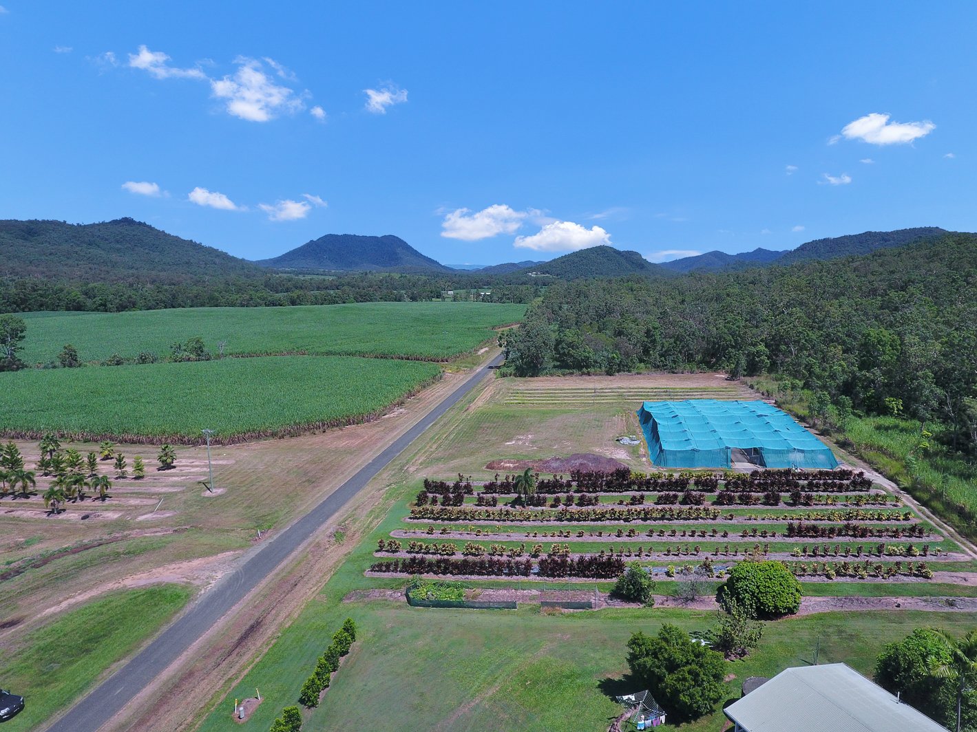 1603 GeebergaButhurra Road, MOUNT OSSA QLD 4741 Blacks Real Estate