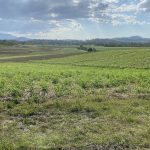 Lot 21 241 Wintons Road, Yalboroo, QLD 4741 AUS