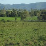 Lot 29 Quattromanis Road, Walkerston, QLD 4751 AUS