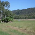 217 Turnors Paddock Road, Koumala, QLD 4738 AUS