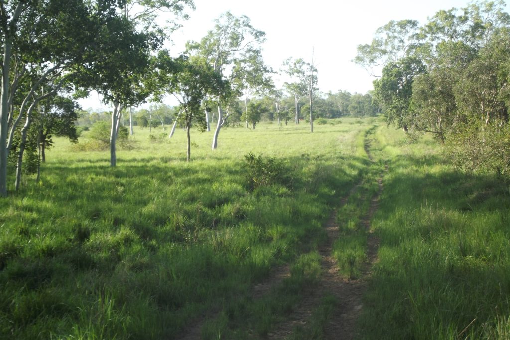 Lot 29 Quattromanis Road, Walkerston, QLD 4751 AUS