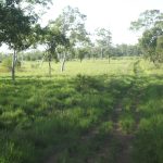 Lot 29 Quattromanis Road, Walkerston, QLD 4751 AUS