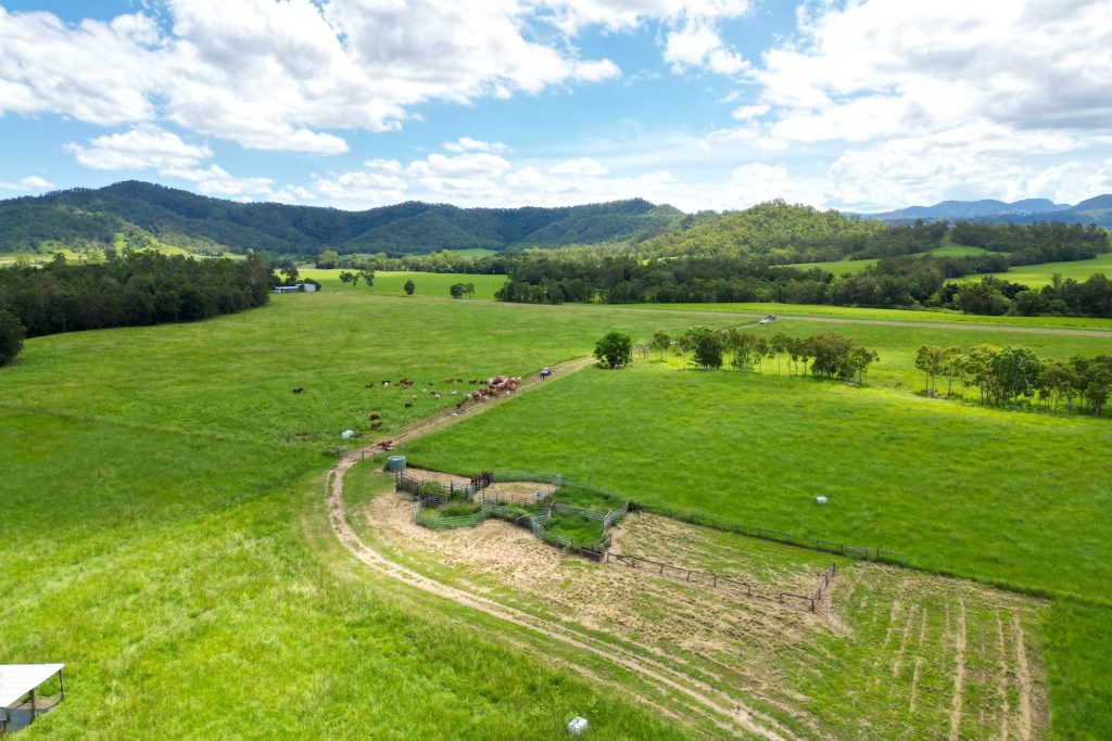 353 Pinnacle-Septimus Road, Pinnacle, QLD 4741 AUS