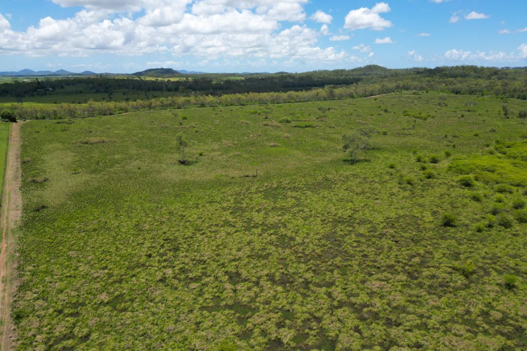 Lot 29 Quattromanis Road, Walkerston, QLD 4751 AUS