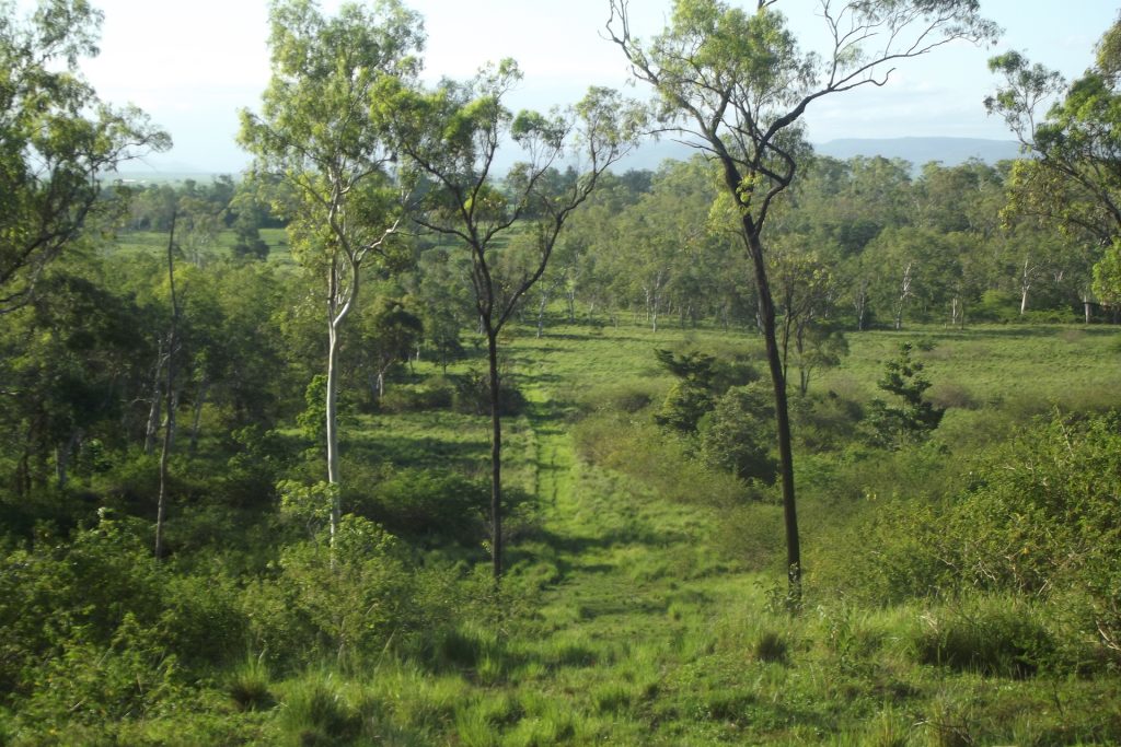 Lot 29 Quattromanis Road, Walkerston, QLD 4751 AUS