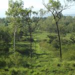 Lot 29 Quattromanis Road, Walkerston, QLD 4751 AUS