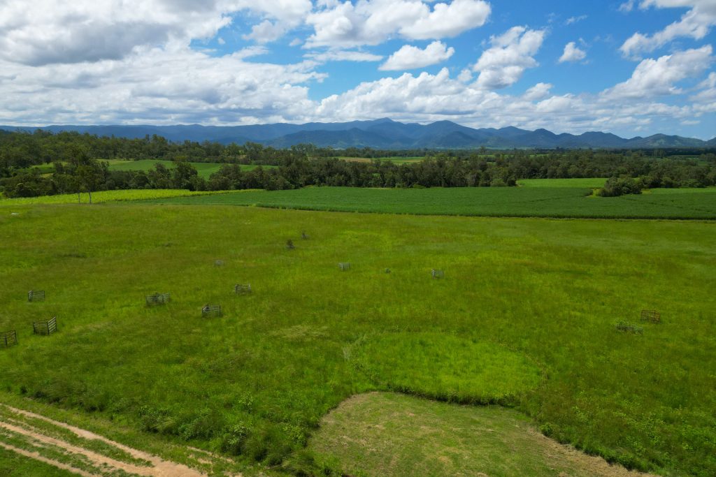 353 Pinnacle-Septimus Road, Pinnacle, QLD 4741 AUS