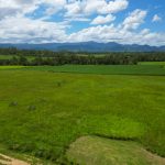 353 Pinnacle-Septimus Road, Pinnacle, QLD 4741 AUS