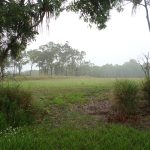 217 Turnors Paddock Road, Koumala, QLD 4738 AUS