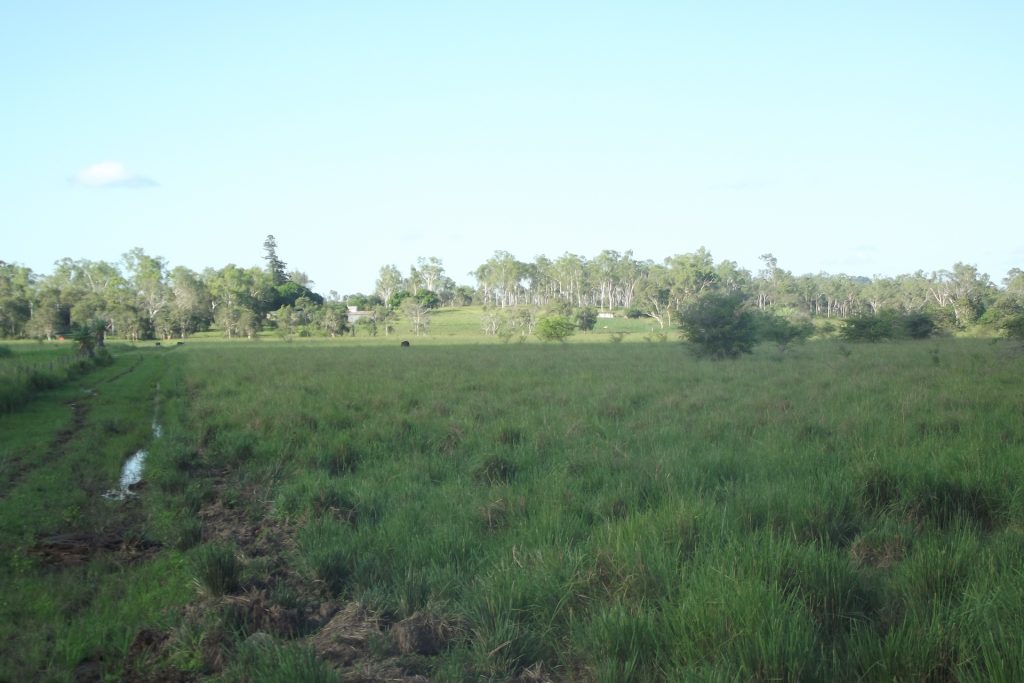 Lot 29 Quattromanis Road, Walkerston, QLD 4751 AUS