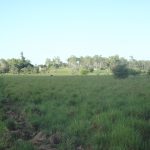 Lot 29 Quattromanis Road, Walkerston, QLD 4751 AUS