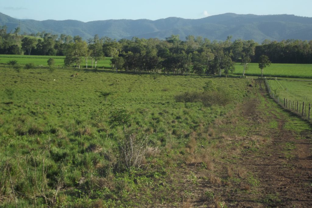 Lot 29 Quattromanis Road, Walkerston, QLD 4751 AUS