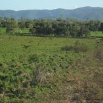 Lot 29 Quattromanis Road, Walkerston, QLD 4751 AUS