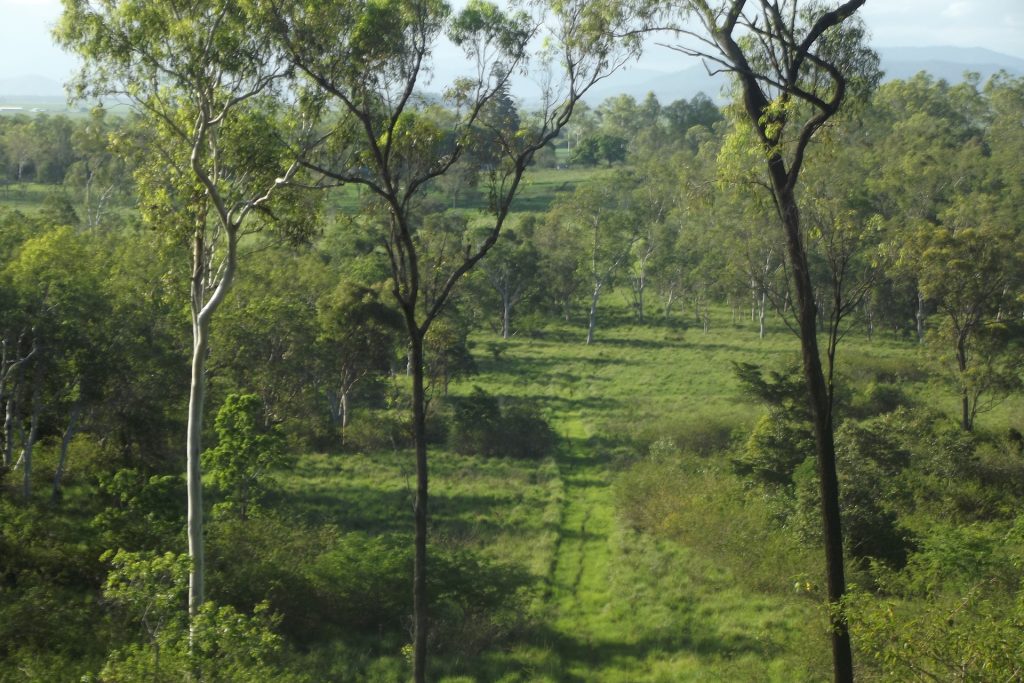 Lot 29 Quattromanis Road, Walkerston, QLD 4751 AUS