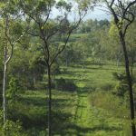 Lot 29 Quattromanis Road, Walkerston, QLD 4751 AUS