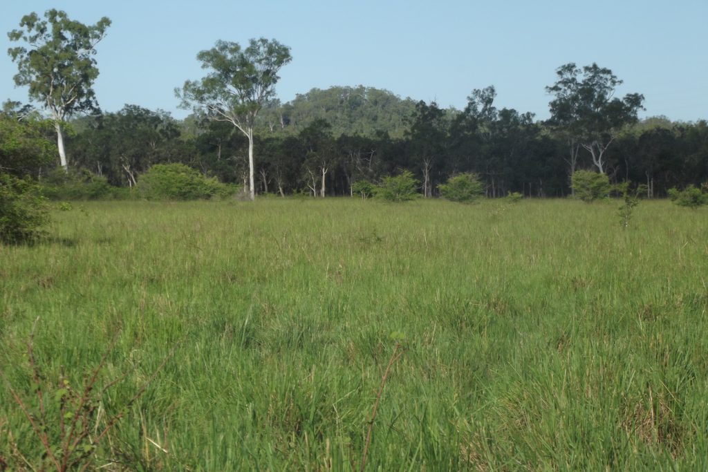 Lot 29 Quattromanis Road, Walkerston, QLD 4751 AUS