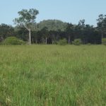 Lot 29 Quattromanis Road, Walkerston, QLD 4751 AUS