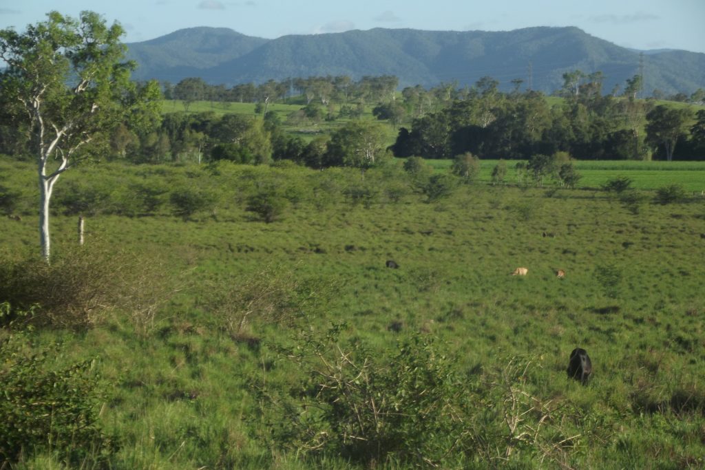 Lot 29 Quattromanis Road, Walkerston, QLD 4751 AUS