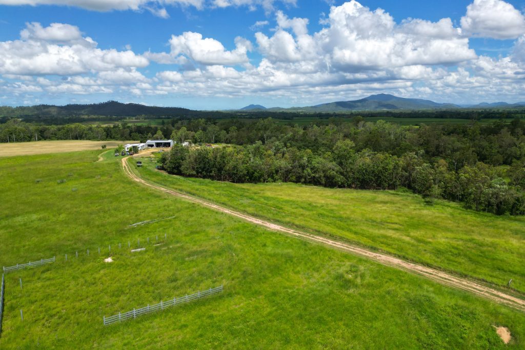 353 Pinnacle-Septimus Road, Pinnacle, QLD 4741 AUS