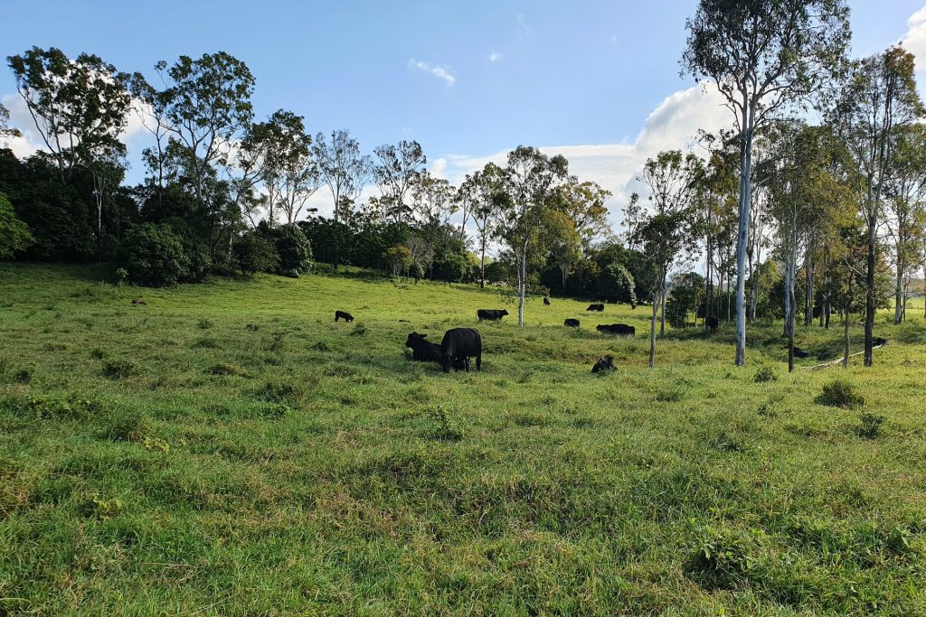 1594 Maraju-Yakapari Road, Balnagowan, QLD 4740 AUS