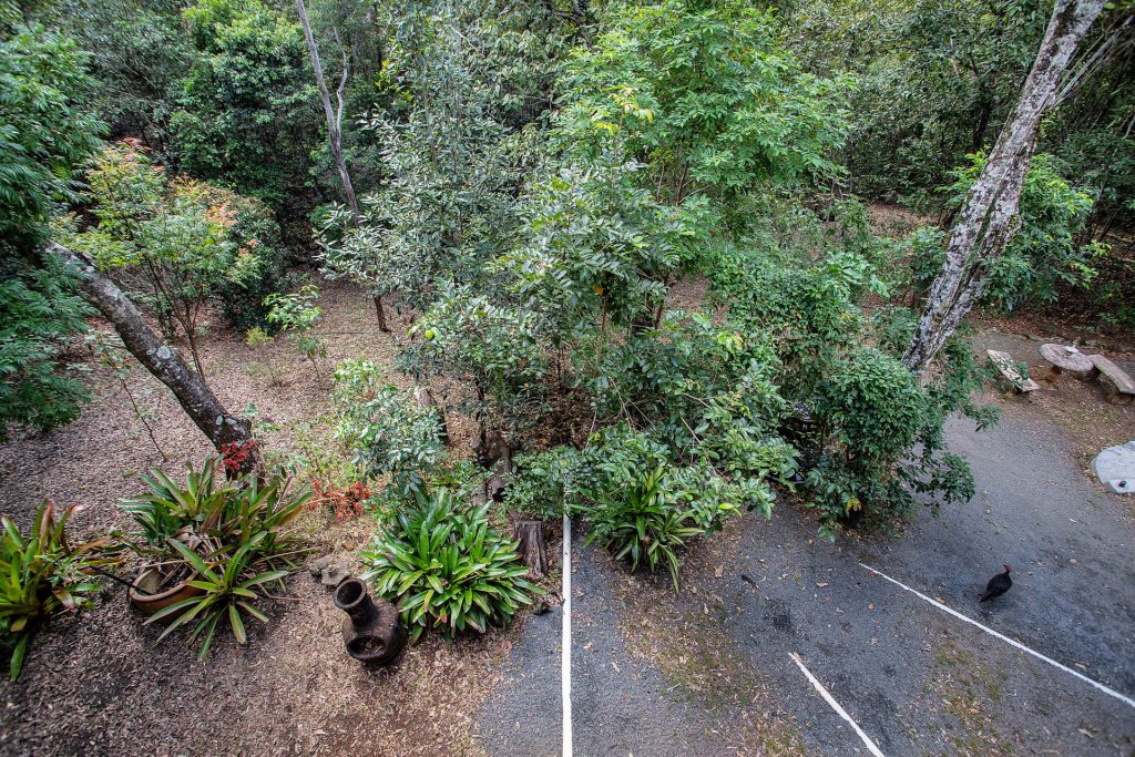 277 West Plane Creek Road, Sarina, QLD 4737 AUS