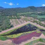 1603 Geeberga-Buthurra Road, Mount Ossa, QLD 4741 AUS