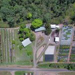 1603 Geeberga-Buthurra Road, Mount Ossa, QLD 4741 AUS