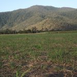 Lot 3 Welshs Road, Pinevale, QLD 4754 AUS