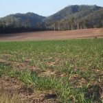 Lot 3 Welshs Road, Pinevale, QLD 4754 AUS