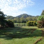 568 Wagoora-Yalboroo Road, Yalboroo, QLD 4741 AUS