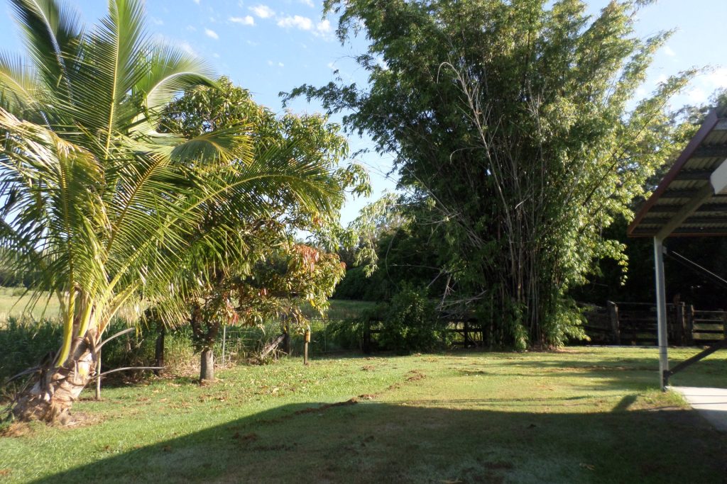 568 Wagoora-Yalboroo Road, Yalboroo, QLD 4741 AUS