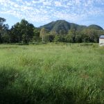 568 Wagoora-Yalboroo Road, Yalboroo, QLD 4741 AUS