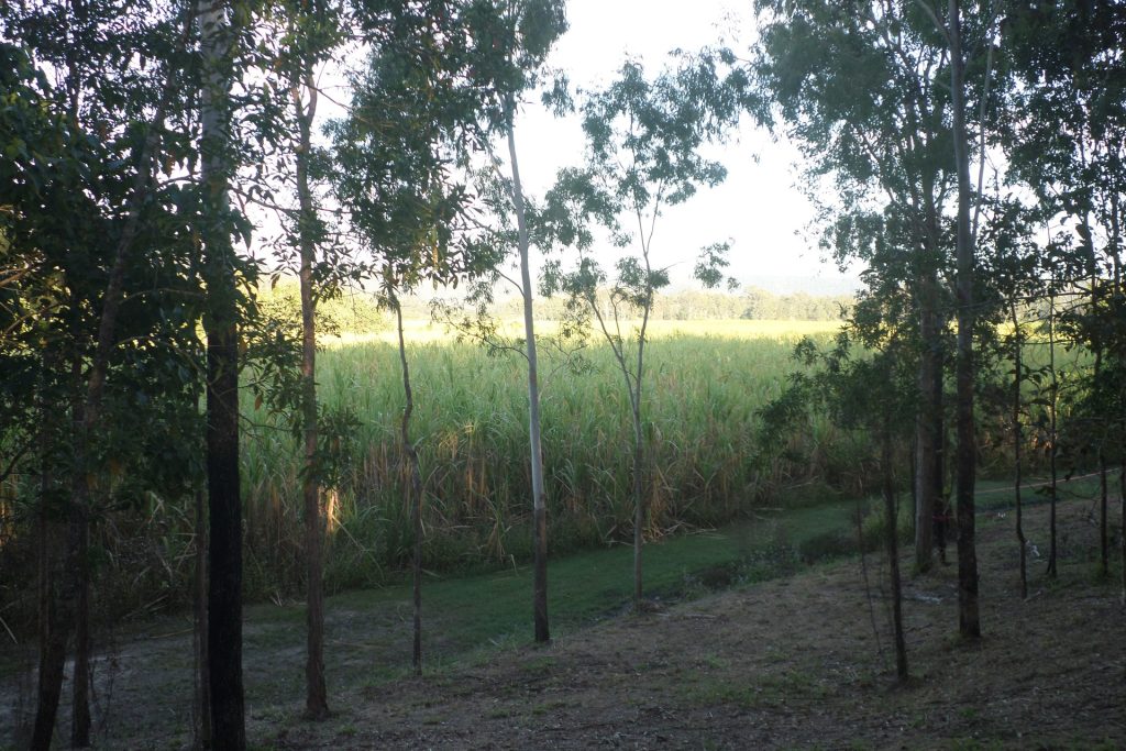 Lot 234 Bogga Road, Mount Pelion, QLD 4741 AUS