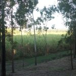 Lot 234 Bogga Road, Mount Pelion, QLD 4741 AUS