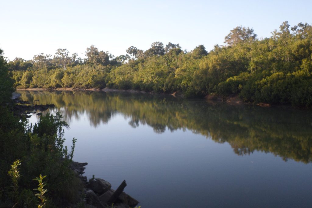 Lot 234 Bogga Road, Mount Pelion, QLD 4741 AUS