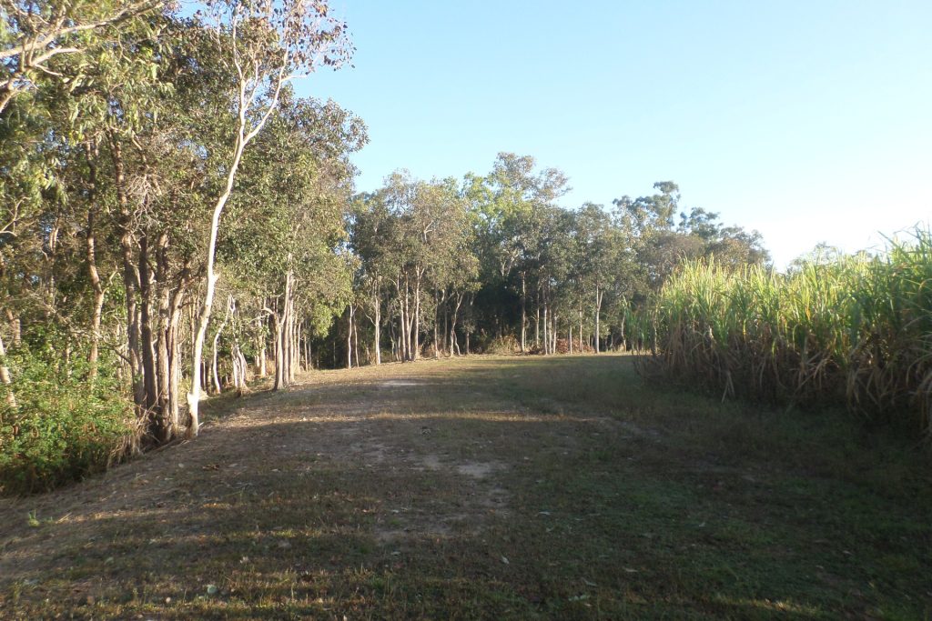 Lot 234 Bogga Road, Mount Pelion, QLD 4741 AUS