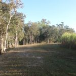 Lot 234 Bogga Road, Mount Pelion, QLD 4741 AUS