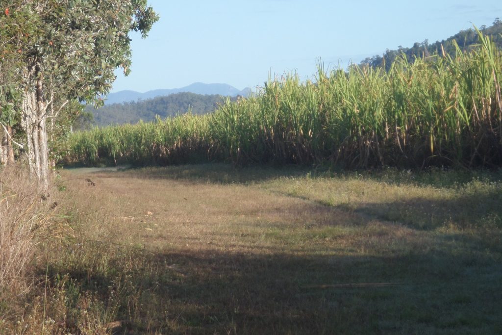 Lot 234 Bogga Road, Mount Pelion, QLD 4741 AUS