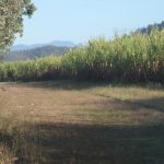 Lot 234 Bogga Road, Mount Pelion, QLD 4741 AUS