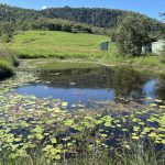 2282 Marlborough-Sarina Road, Sarina Range, QLD 4737 AUS