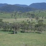 2282 Marlborough-Sarina Road, Sarina Range, QLD 4737 AUS