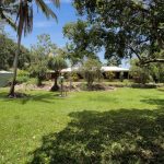 99 Sorensens Road, Kuttabul, QLD 4741 AUS