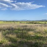 Lot 21 241 Wintons Road, Yalboroo, QLD 4741 AUS