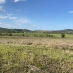 Lot 21 241 Wintons Road, Yalboroo, QLD 4741 AUS