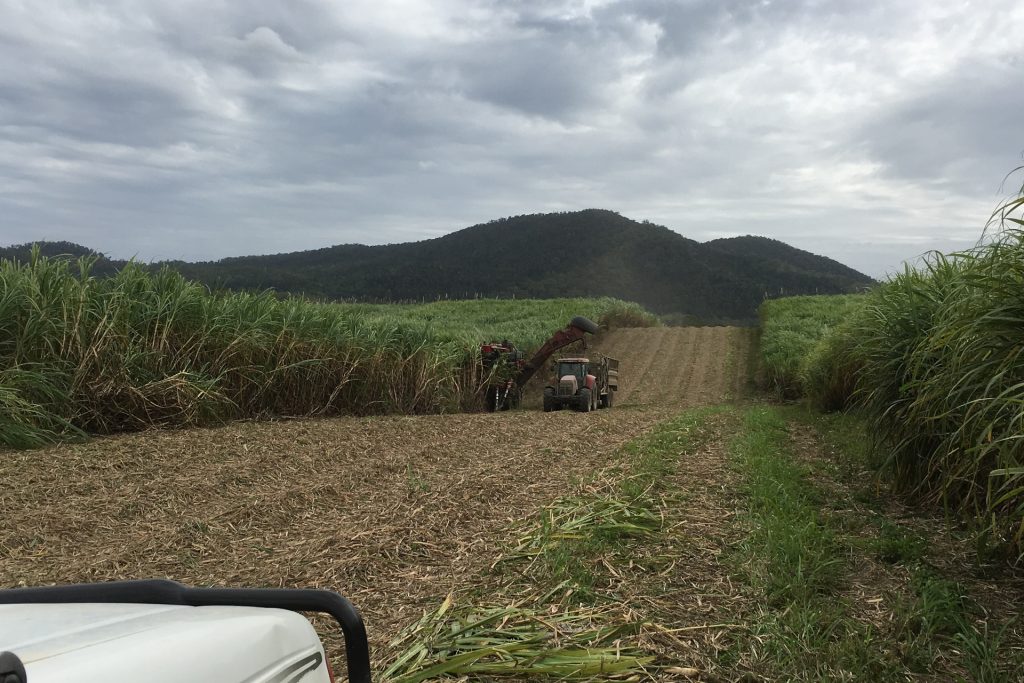 Lot 21 241 Wintons Road, Yalboroo, QLD 4741 AUS