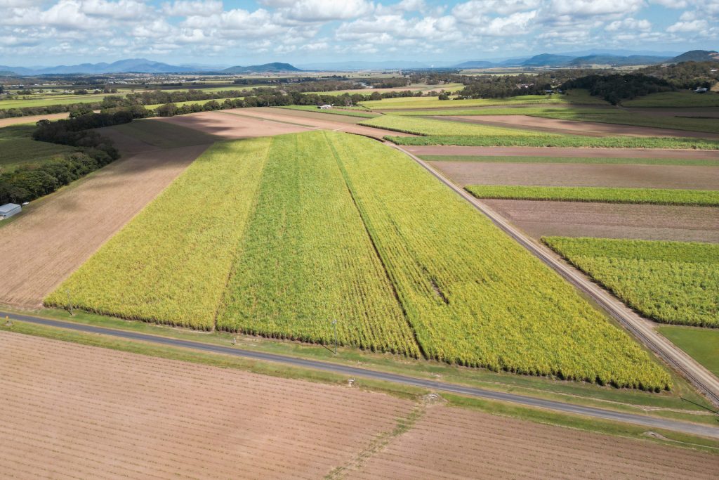 Lot 82 Farleigh-Dumbleton Road, Dumbleton, QLD 4740 AUS