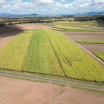 Lot 82 Farleigh-Dumbleton Road, Dumbleton, QLD 4740 AUS