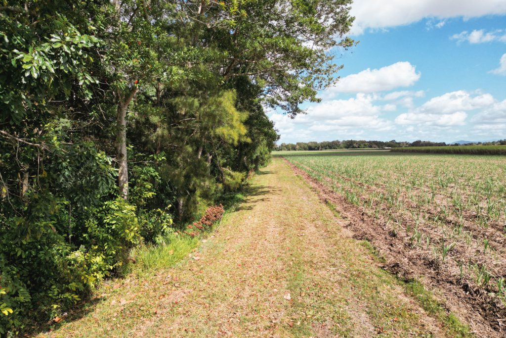 Lot 82 Farleigh-Dumbleton Road, Dumbleton, QLD 4740 AUS