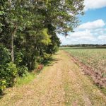 Lot 82 Farleigh-Dumbleton Road, Dumbleton, QLD 4740 AUS